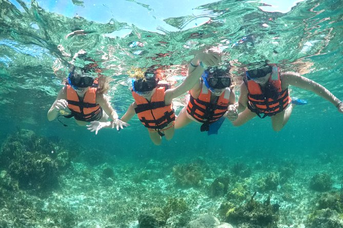 Speedboat and snorkel adventure - Practical details that can save you trouble