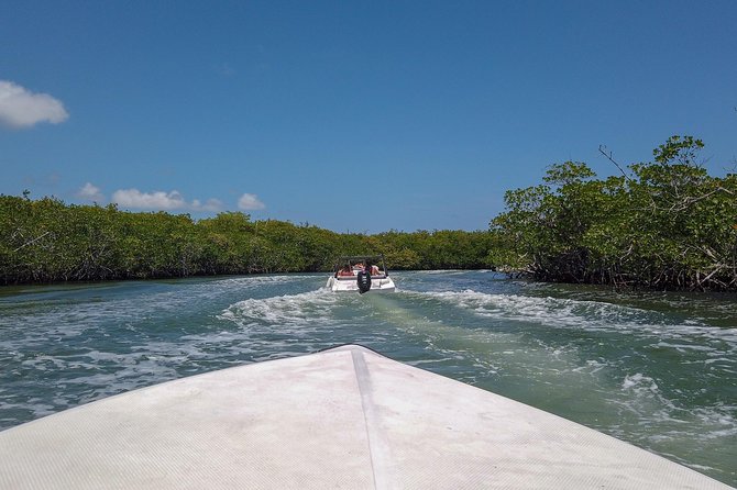 Speedboat and snorkel tour: Single Passenger Boat - Taking the wheel from Cancun’s Hotel Zone