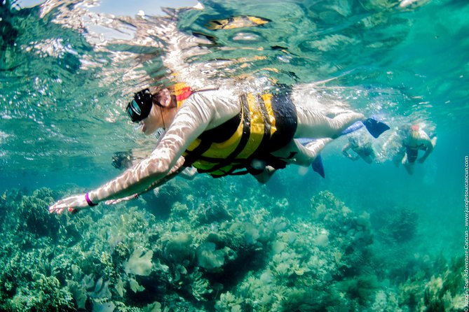Speedboat and snorkel tour: Single Passenger Boat - A compact outing with practical logistics