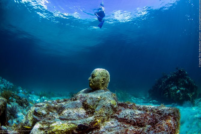 Speedboat and snorkel tour: Single Passenger Boat - Weather, cancellation, and who should book