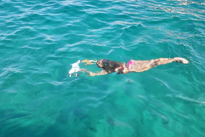 Speedboat Beach escape to Zadar Islands - Ošljak: a tiny island with a short walk