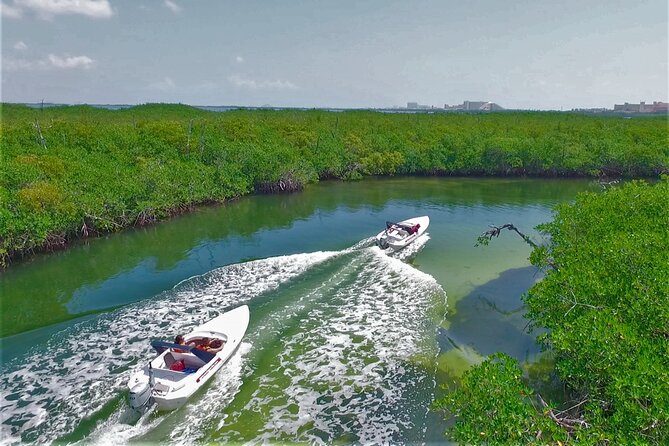 Speedboat Excursion: Thrilling Drive & Snorkel in Cancun Lagoon! - Snorkeling among coral and tropical fish