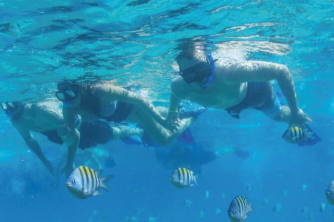 Speedboat Excursion: Thrilling Drive & Snorkel in Cancun Lagoon! - What the $59 price really includes