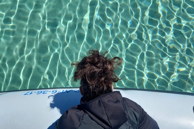 Speedboat excursion through the coves of northern Menorca - Forty minutes at Calan Tosqueta