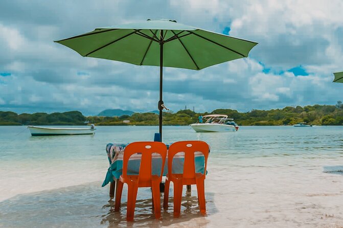 Speedboat Ile aux Cerfs + GRSE Waterfall, BBQ and Bar - What the $76.14 price represents