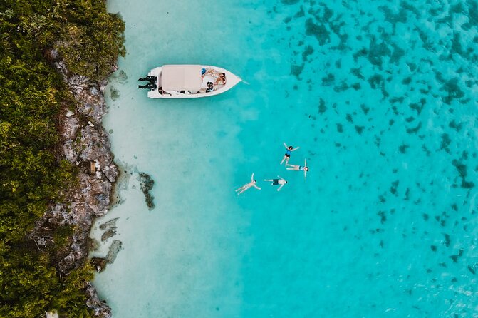 Speedboat Ile aux Cerfs + GRSE Waterfall, BBQ and Bar - Who will enjoy this outing most