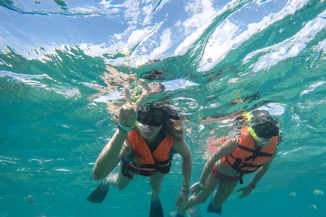 Speedboat jungle tour and snorkel - Cancellation and booking details that matter