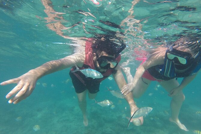 Speedboat Sailing with Snorkeling Experience in Punta Cana - My call on the speedboat and reef experience
