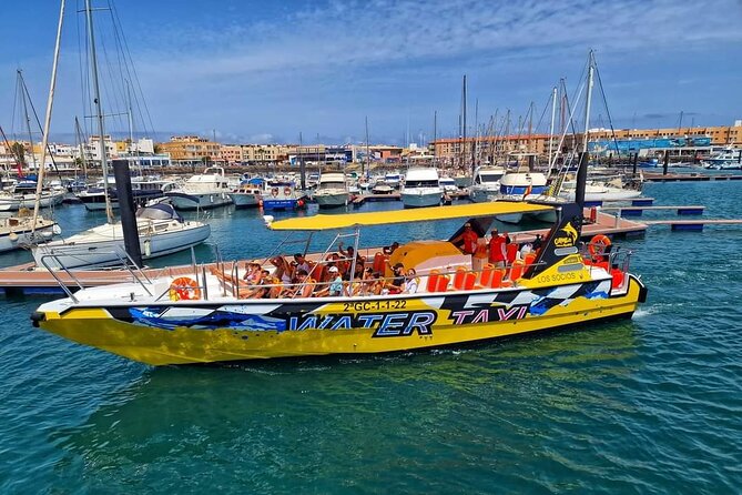 SpeedBoat Shuttle to Lobos Island - Three hours on protected Lobos Island