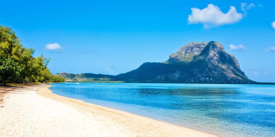 Speedboat to Ile aux Benitier: Dolphin Encounter & Lunch - Key points at a glance