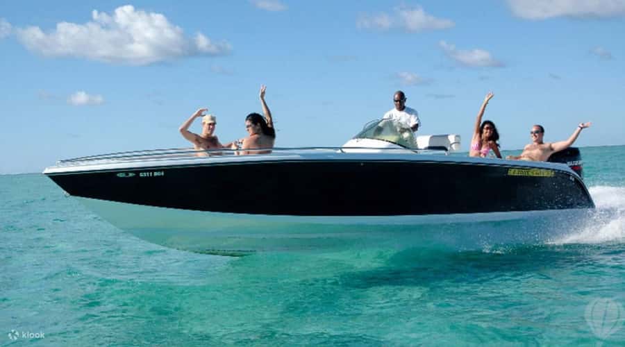 Speedboat to Ile aux Benitier: Dolphin Encounter & Lunch - The dolphin briefing before Tamarin Bay