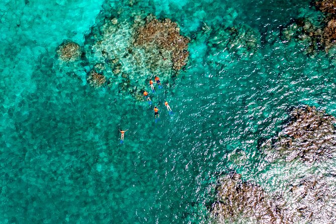 Speedboat Tour, Snorkel & Drinks - Price, dock tax, and what you receive