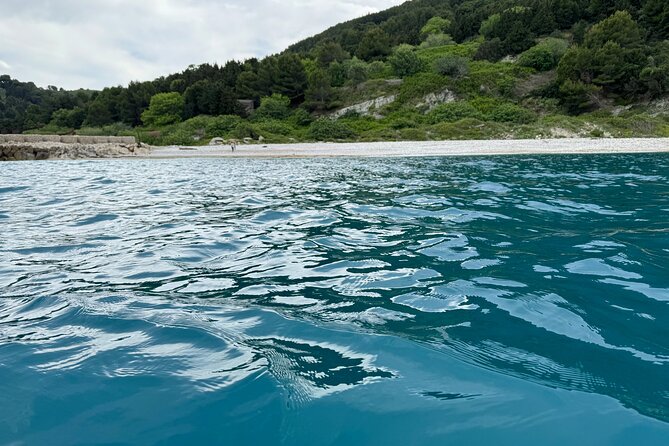 Speedboat Tour to Sazan Island, Haxhi Ali Cave and Marine Park - The speedboat and group size