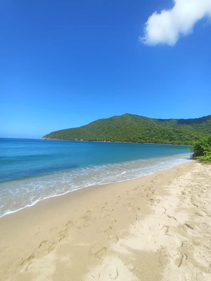 SPEEDBOAT TOUR TO TAYRONA CRISTAL BEACH - A 45-minute coastal ride with fine views