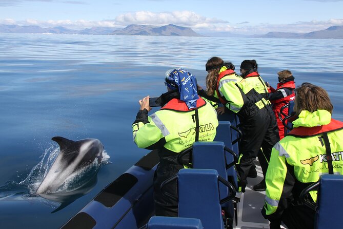 Speedboat Whale Watching Small-Group Tour in Reykjavik - Why the RIB makes such a difference