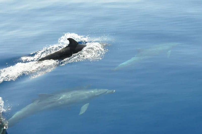 Split: Private Blue Lagoon 3 islands with speed boat - Finding the boat near St. Francis Church