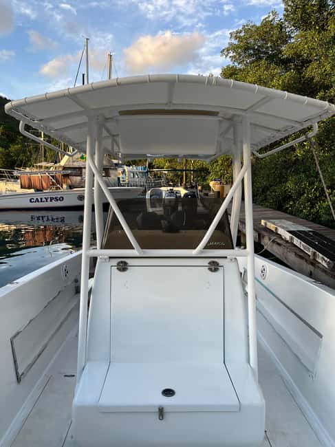 St Lucia: Private Speed Boat Tour from Castries - Who will enjoy this private speedboat day?