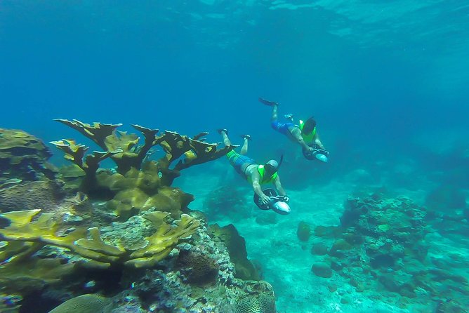 St. Lucia Speedboat and Power Snorkel From Castries - Who will enjoy this most