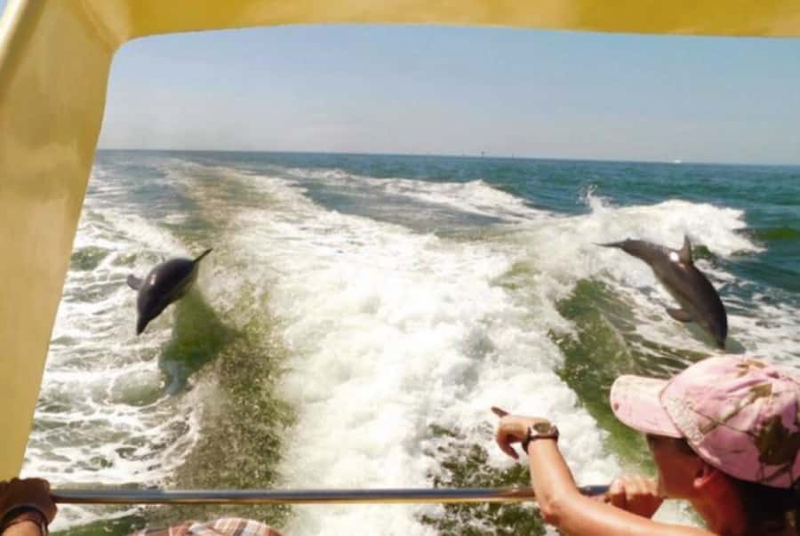 St. Pete Beach: Dolphin Racer Cruise by Speedboat - Sun, clothing, and comfort