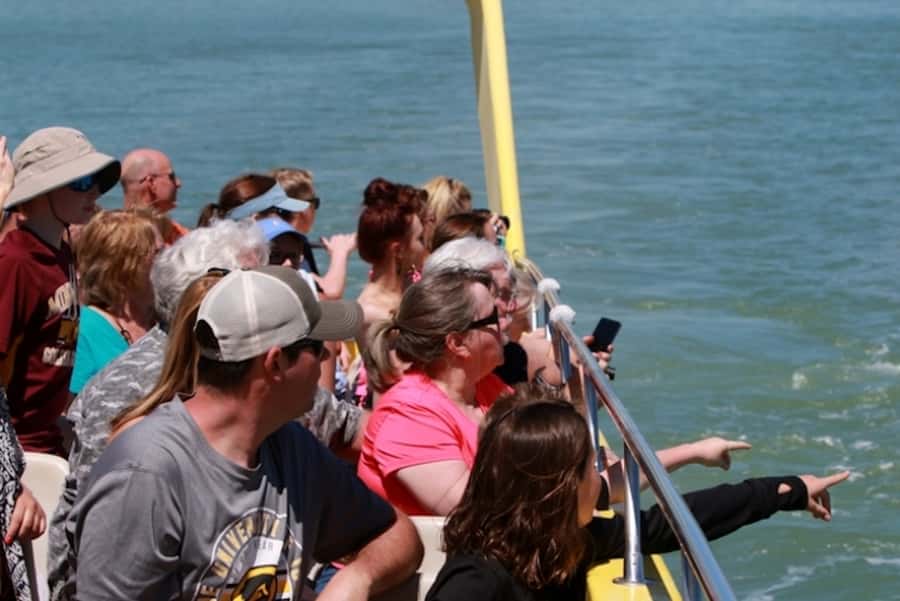 St. Pete Beach: Dolphin Racer Cruise by Speedboat - Who will enjoy this cruise most?