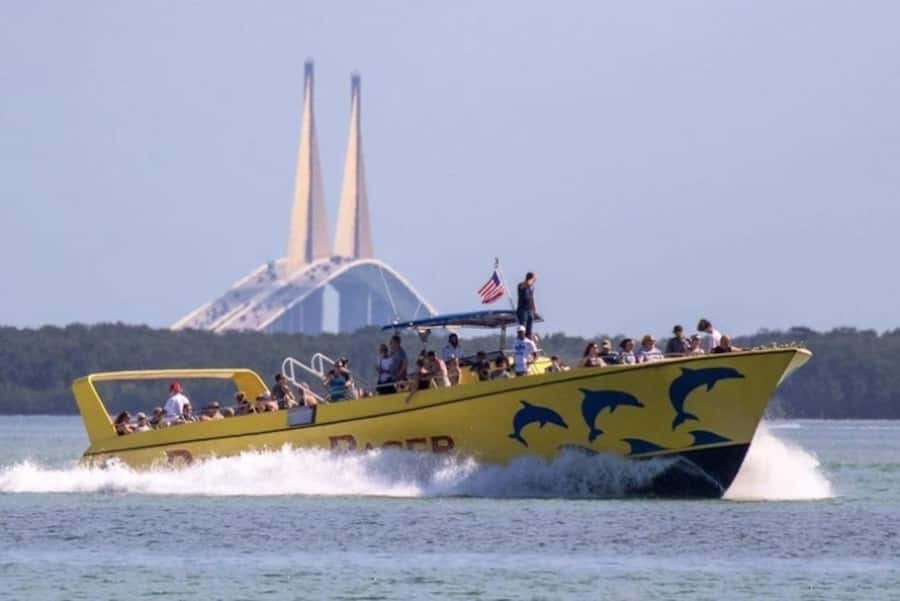 St. Pete Beach: Dolphin Racer Cruise by Speedboat - The dolphin search through Gulf waters