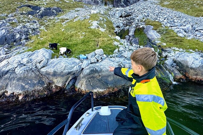 Stavanger: Guided Lysefjord Safari on Speedboat - Feeling the spray at Whiskey Falls