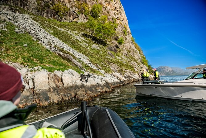 Stavanger: Guided Lysefjord Safari on Speedboat - Weather can decide the day