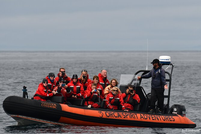 Summer Whale Watching Tour in a Zodiac Boat in Victoria - The guides can shape the whole outing