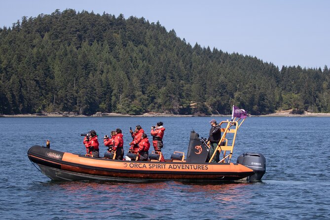 Summer Whale Watching Tour in a Zodiac Boat in Victoria - Is $144.30 a fair price?
