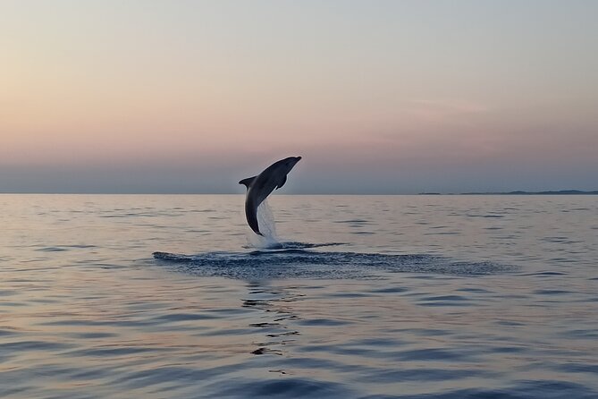 Sunrise Dolphins & Fishermen at Work speedboat tour in Rovinj - The first 20 to 30 minutes offshore