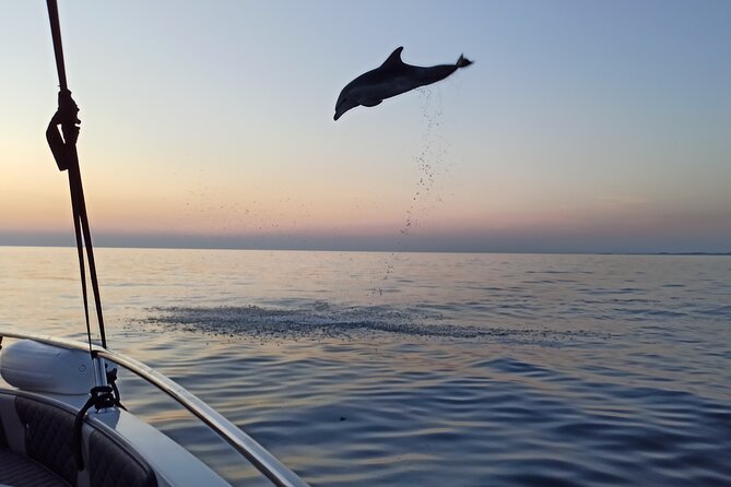 Sunrise Dolphins & Fishermen at Work speedboat tour in Rovinj - The pre-dawn meeting at Rovinj’s pier