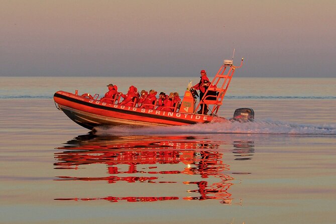 Sunset Zodiac Tour - Key details at a glance