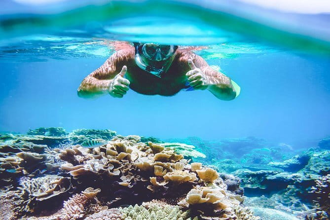 Surin Island Snorkeling by Speedboat from Khao Lak - Key points to know before you book