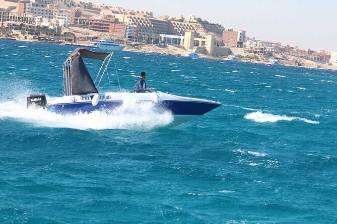 Swim with dolphin By Private Speed Boat and Sub wing Game - Hurghada - From Hurghada hotel pickup to the Red Sea pier