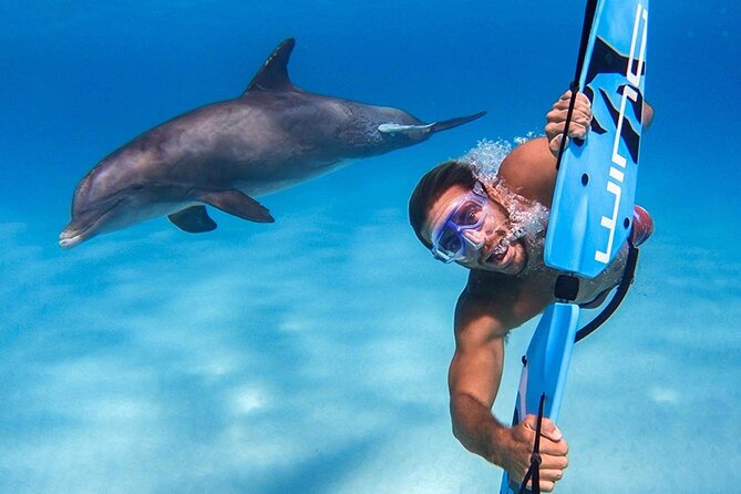 Swim with dolphin By Private Speed Boat and Sub wing Game - Hurghada - The five-minute sub-wing session