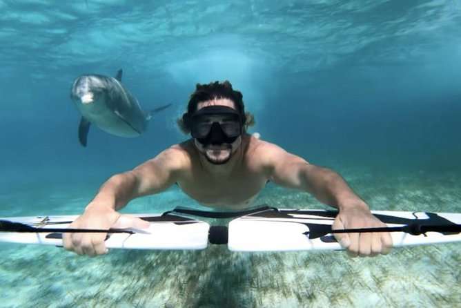 Swim with dolphin By Private Speed Boat and Sub wing Game - Hurghada - Practical details that affect your morning