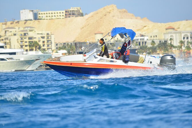 Swim With Dolphin By Semi PRIVATE Speedboat & Transfer - Hurghada - A fast morning on Hurghada’s Red Sea