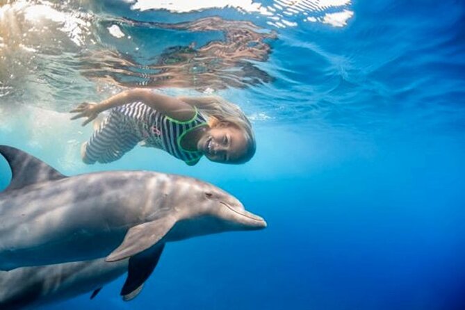 Swim With Dolphin By Semi PRIVATE Speedboat & Transfer - Hurghada - Is $60 a fair price?