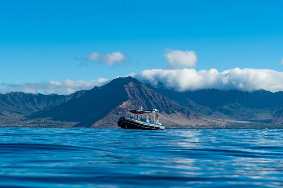 Swim with Wild Dolphins Oahu Speedboat Snorkeling Adventure! - Small details that make the day easier
