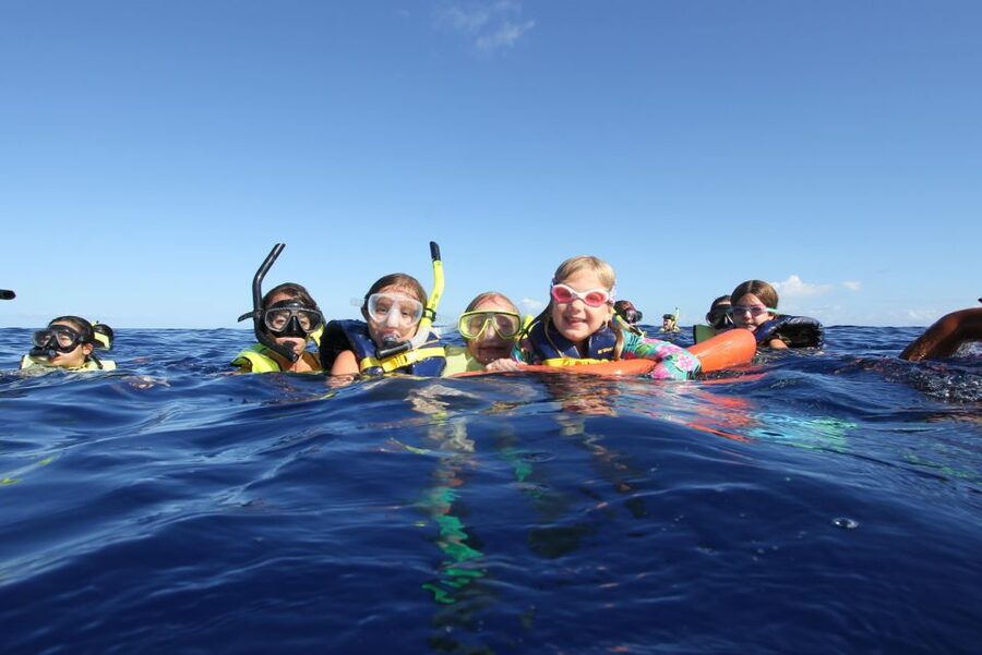 Swim with Wild Dolphins Oahu Speedboat Snorkeling Adventure! - Getting from Waikiki to the Waianae harbor