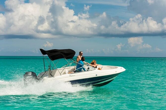 Swimming with Dolphins by Private Speed Boat - Hurghada - What the Private Speedboat Changes