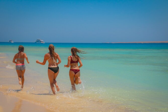 Swimming with Dolphins by Private Speed Boat - Hurghada - Food, Safety, and Comfort on the Water