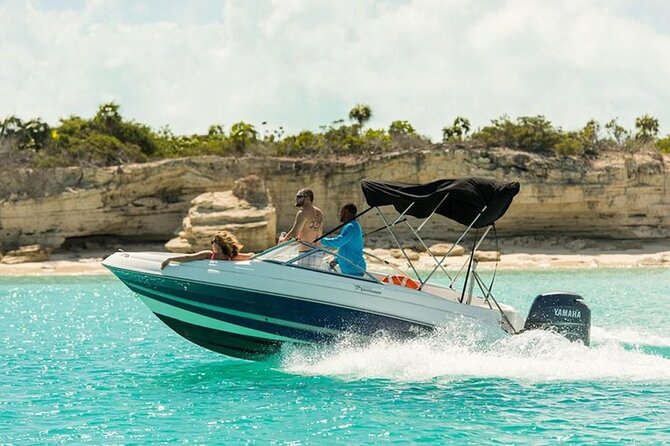 Swimming with Dolphins by Private Speed Boat - Hurghada - Is $65 a Fair Price?