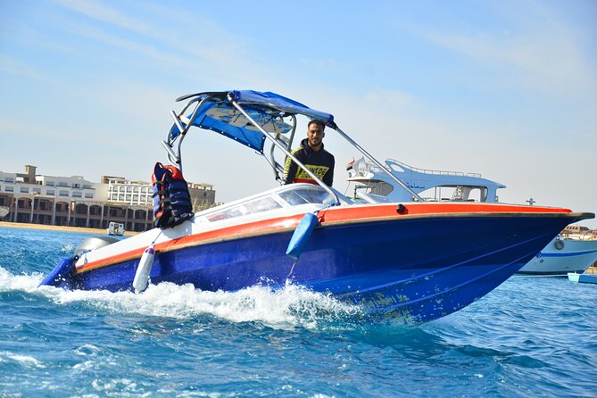 Swimming with Dolphins by Private Speed Boat - Hurghada - Looking for Dolphins at Dolphin House