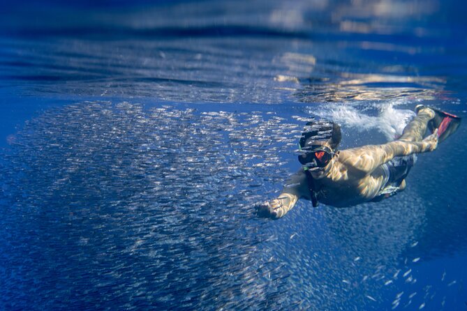 Swimming with Wild Dolphins Speedboat Adventure on Oahu - Who will enjoy this most