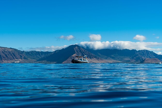 Swimming with Wild Dolphins Speedboat Adventure on Oahu - The dolphin search off Waiʻanae