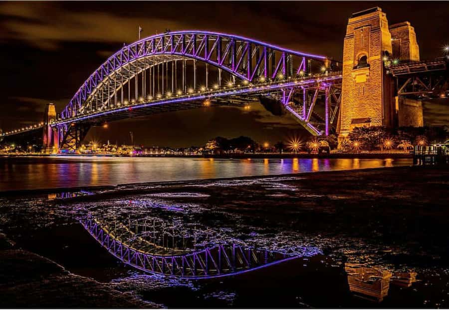 Sydney Harbour: 30 Minute Slow Jet Boat Vivid Cruise - Staff, comfort, and the small details