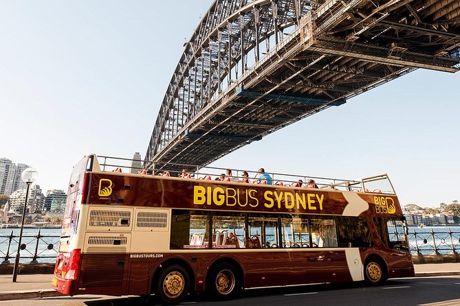 Sydney Speed Boat Adventure Harbour Tour - Shark Island and Clark Island for close-up views