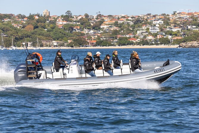 Sydney Whale Watching on Small RIB - A small RIB makes this Sydney whale trip different