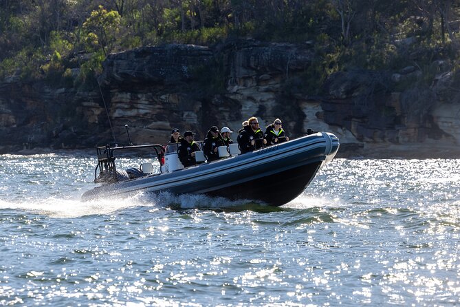 Sydney Whale Watching on Small RIB - Starting at Circular Quay with Sydney’s best views
